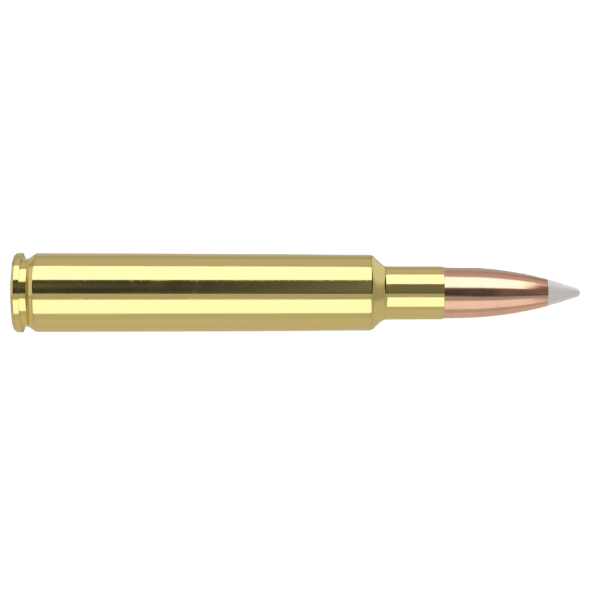 Nosler-Accubond-Long-Range-Trophy-Grade-Ammunition---160GR.jpg