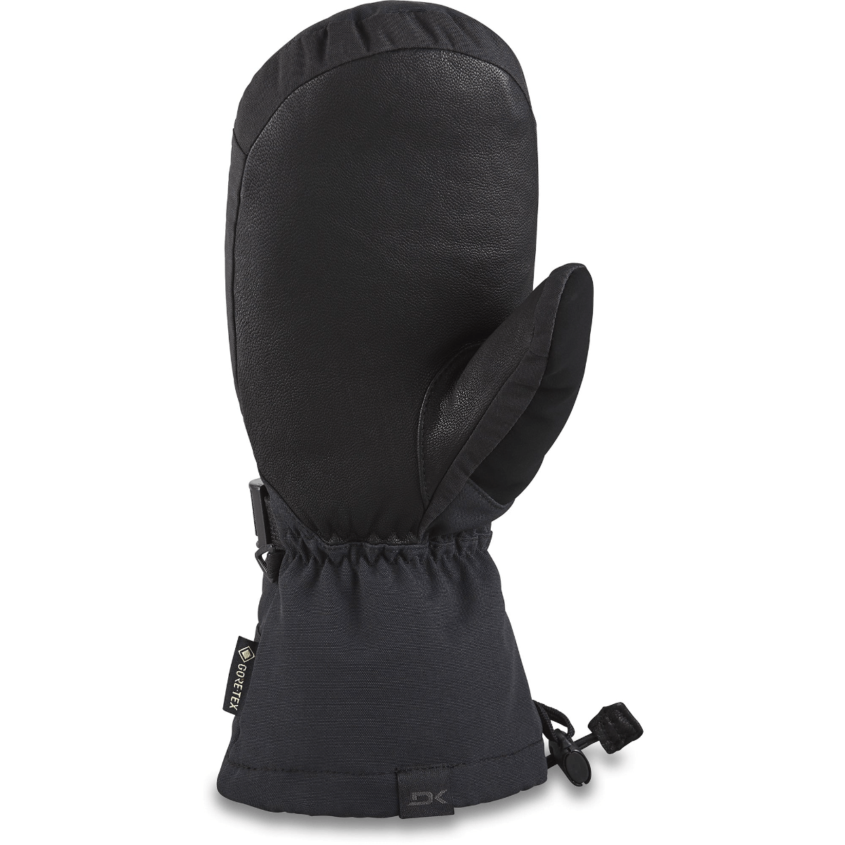 Dakine-Leather-Titan-Gore-Tex-Mitt---Men-s---Black.jpg