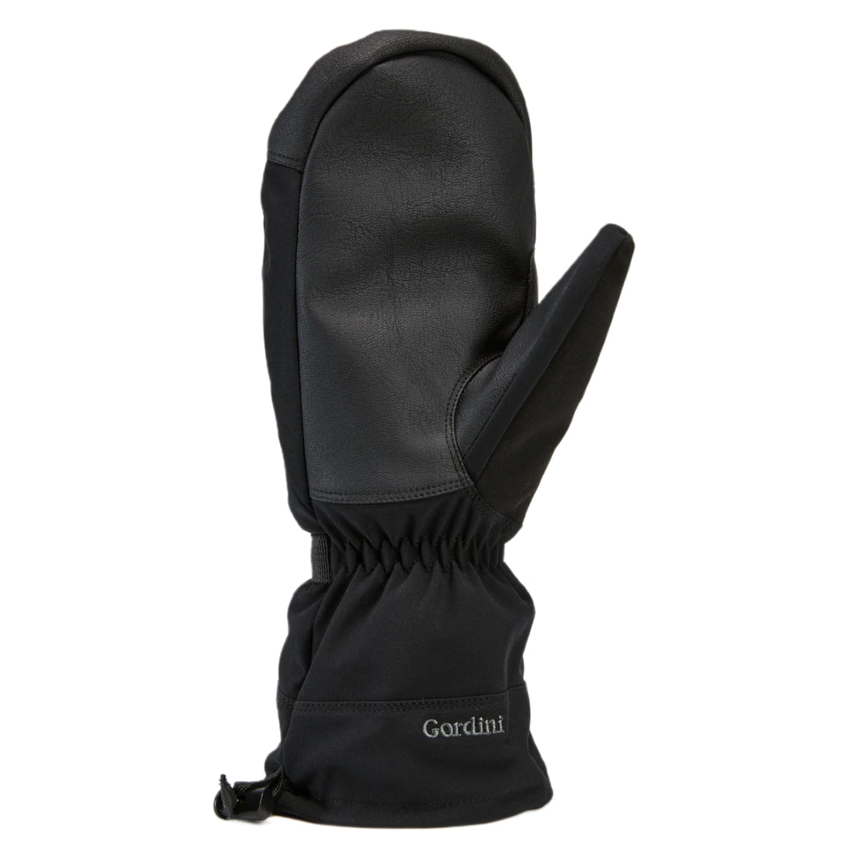 Gordini-Fall-Line-Mitten---Men-s---Black.jpg