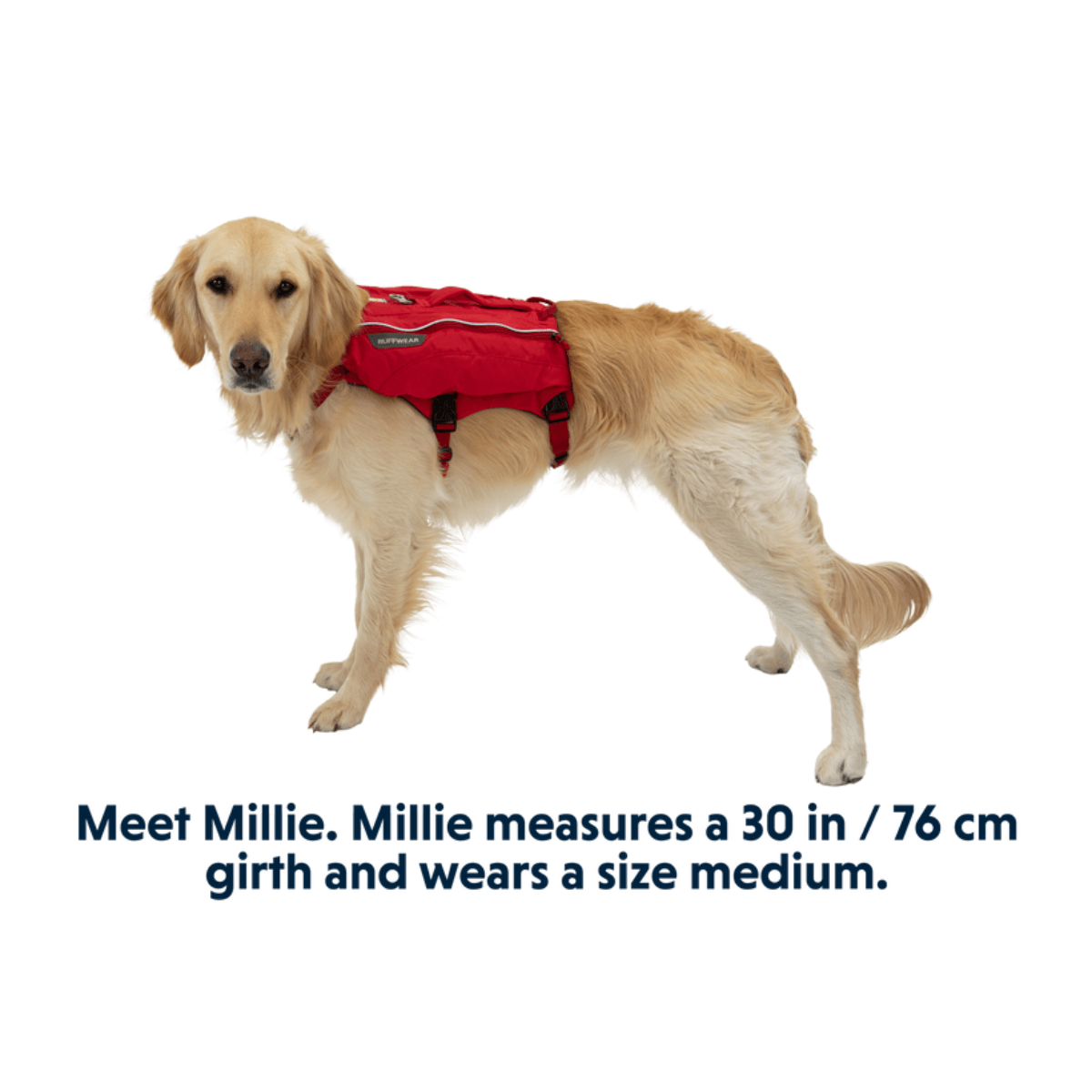 Ruffwear Singletrak Dog Hydration Pack