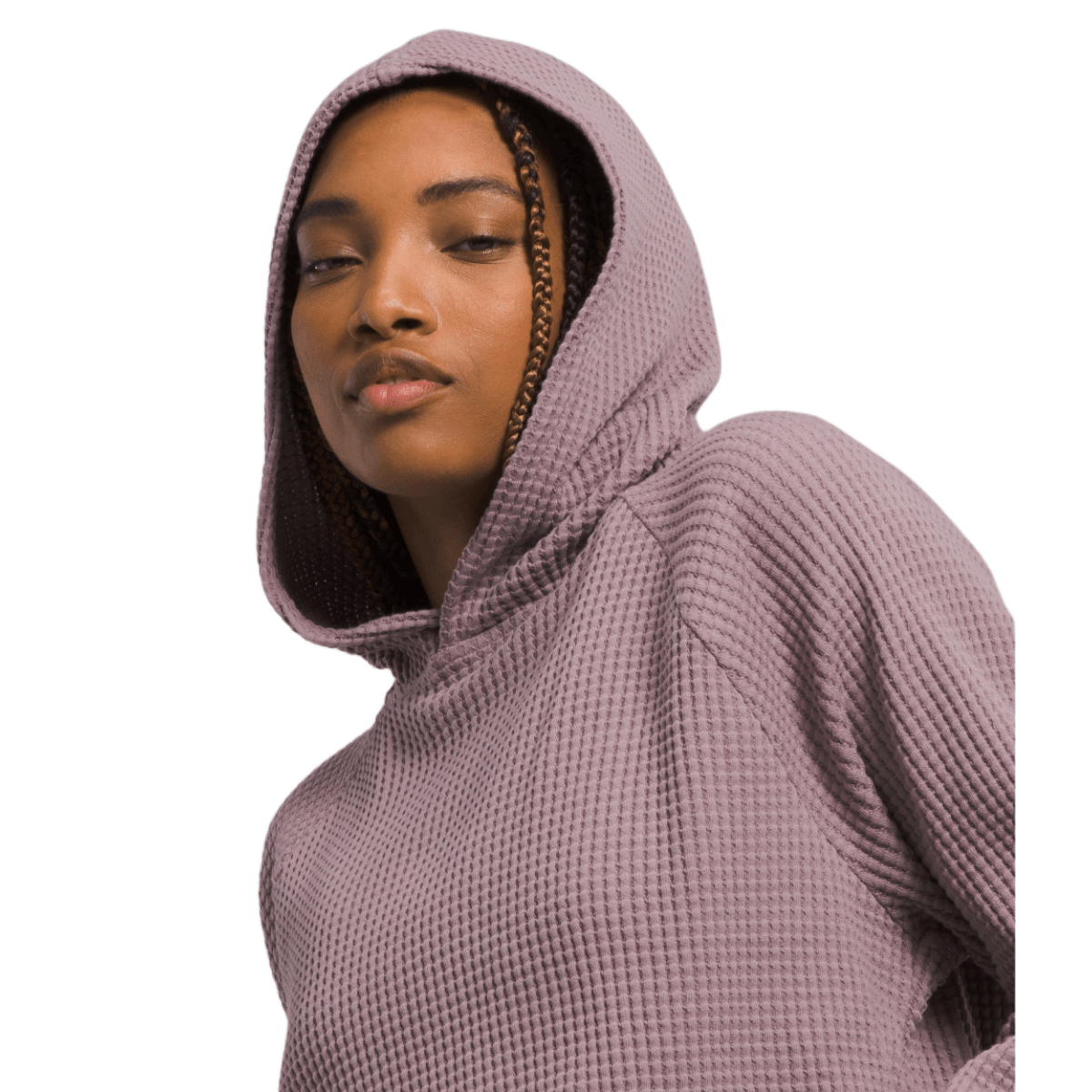 The North Face Chabot Hoodie - Women's - Als.com