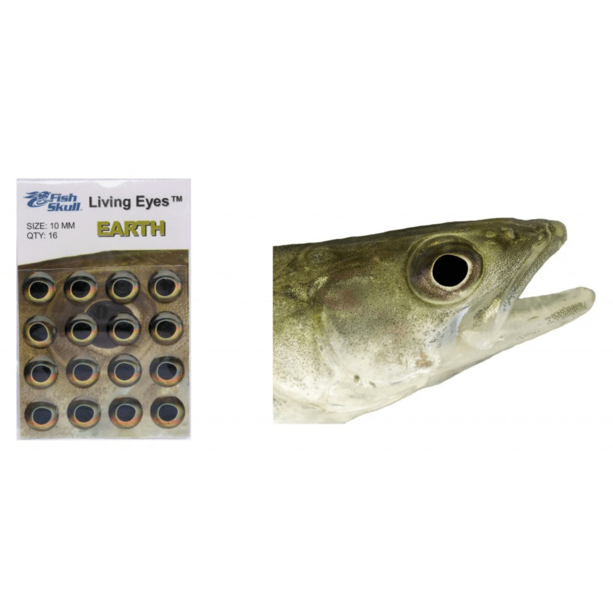 NWEB---HARELI-FISH-SKULL-LIVING-EYES-Golden-Brown-10-mm.jpg