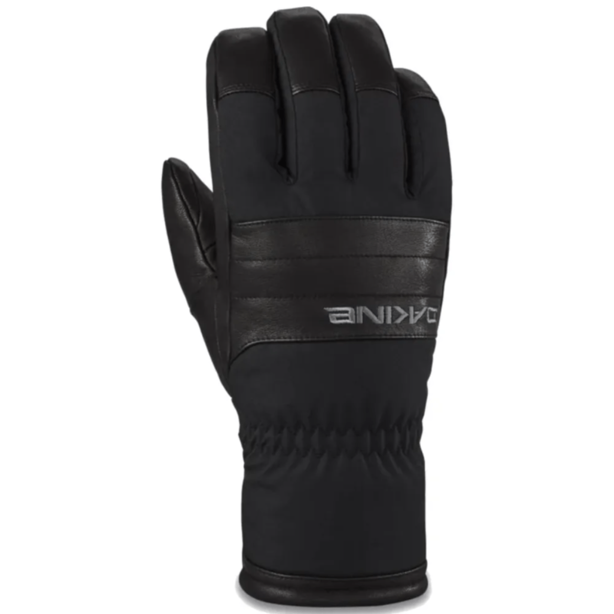 NWEB---DAKINE-M-DAKINE-BARON-GORE-TEX-GLOVE-Black-S.jpg