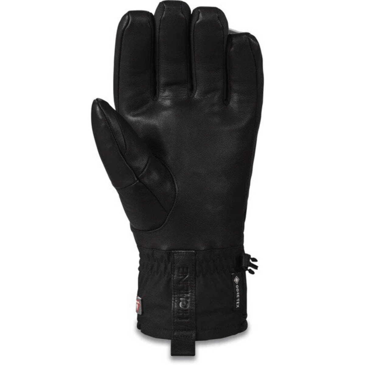 NWEB---DAKINE-M-DAKINE-BARON-GORE-TEX-GLOVE-Black-S.jpg