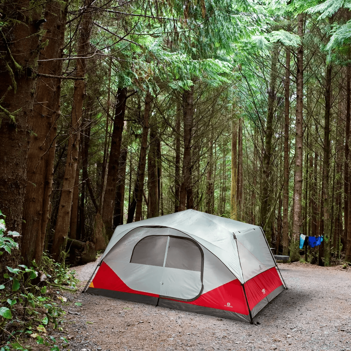 Outbound tents best sale