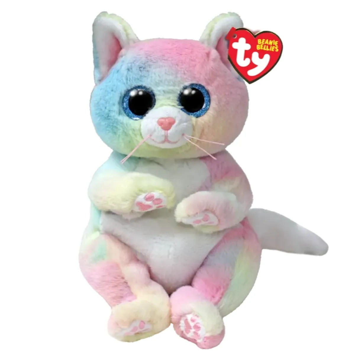 NWEB---TY-BEANIE-BABY-JENNI-Cat---Rainbow-Belly-Regular.jpg