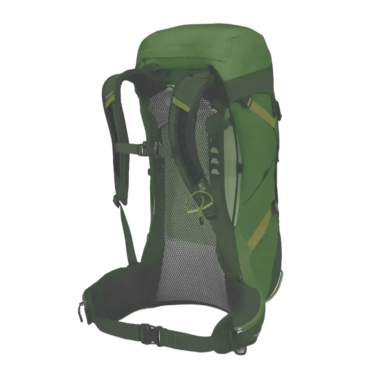 Osprey 36l stratos best sale