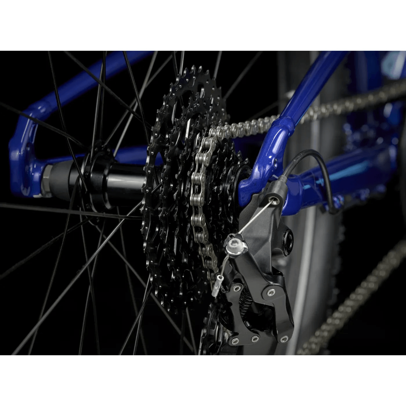NWEB---TREK-BIKE-24-WAHOO-26-PATH-Hex-Blue-M-26.jpg