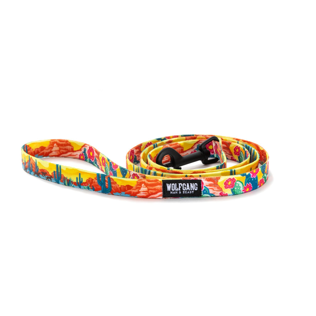 NWEB---WOLFGA-PACKLEADER-DOG-LEASH-PackLeader-5-8--x-4-.jpg