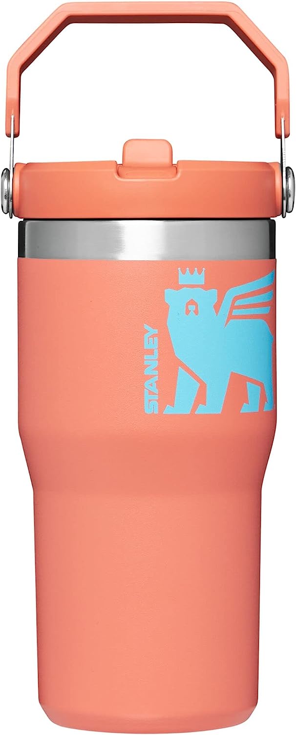 /stanley-the-iceflow-flip-straw-tumbler-20oz-10410165/p?skuId=1502468