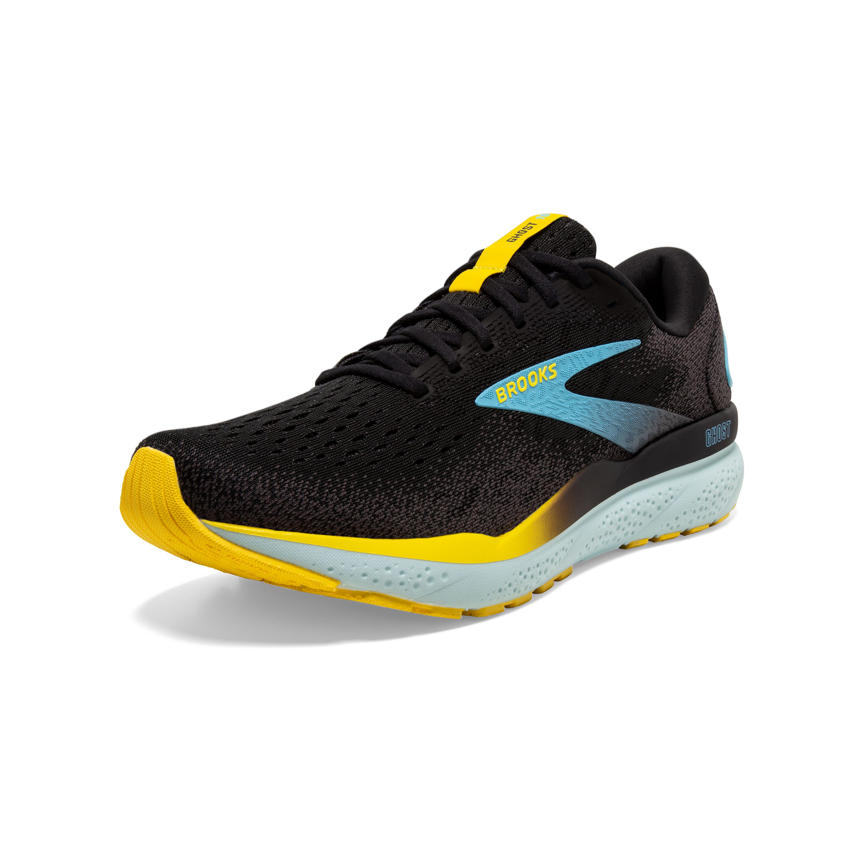 brooks pegasus
