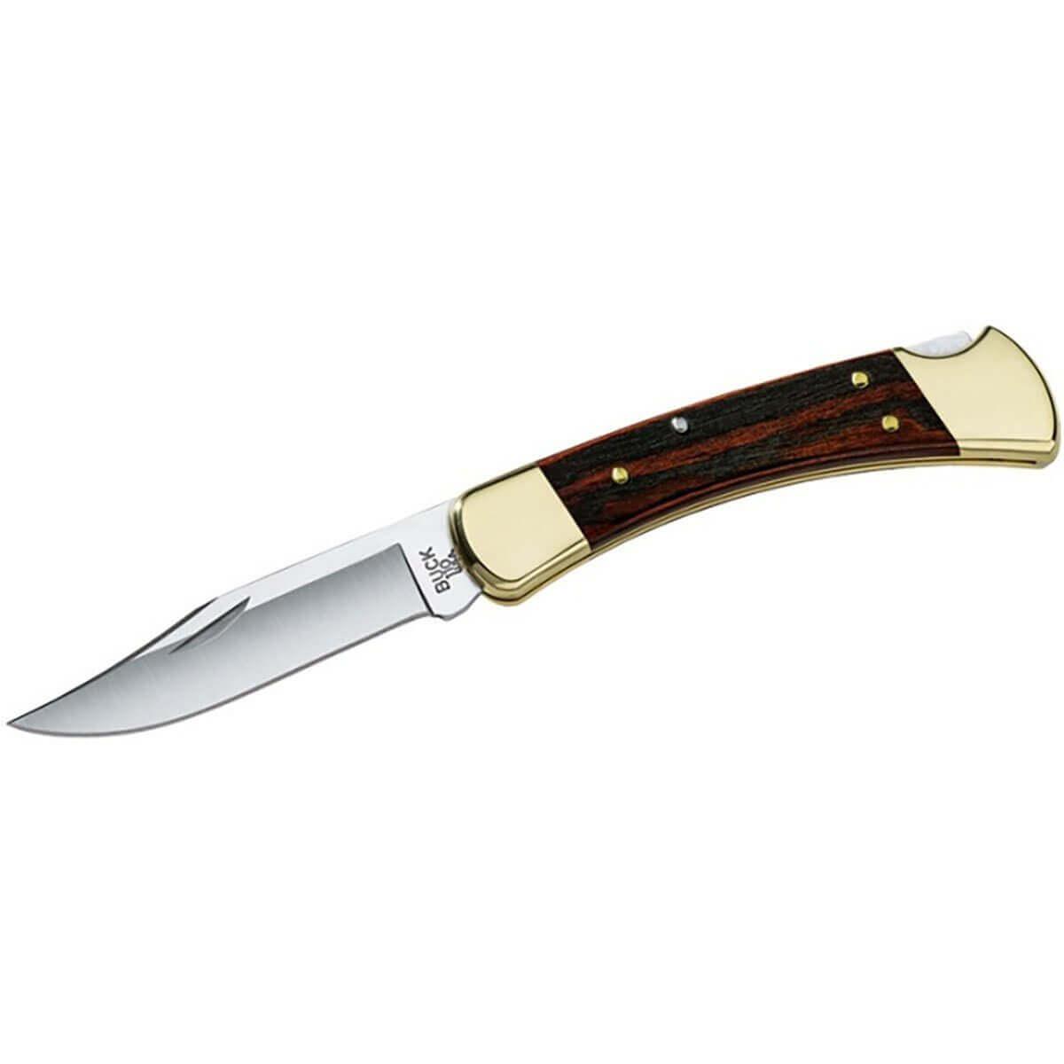 Buck-Folding-Hunter-Folding-Knife