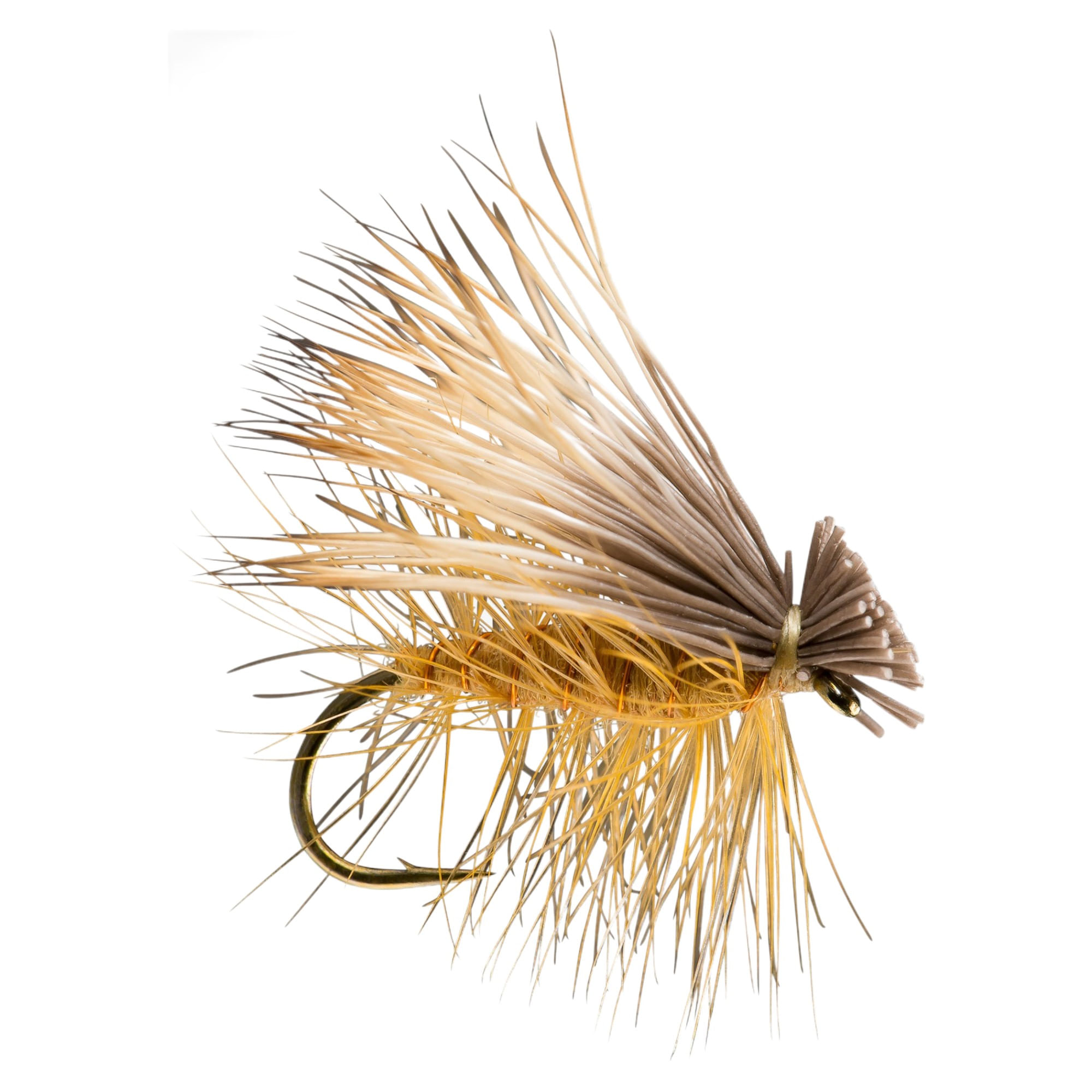 RIO-Elk-Hair-Caddis-Fly--12-Count---14.jpg