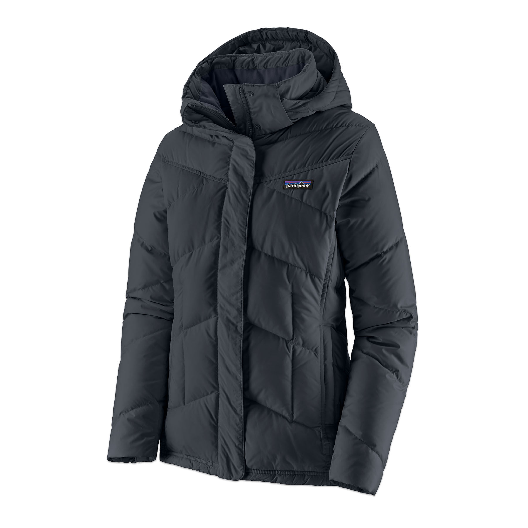 Patagonia jacket with hood best sale