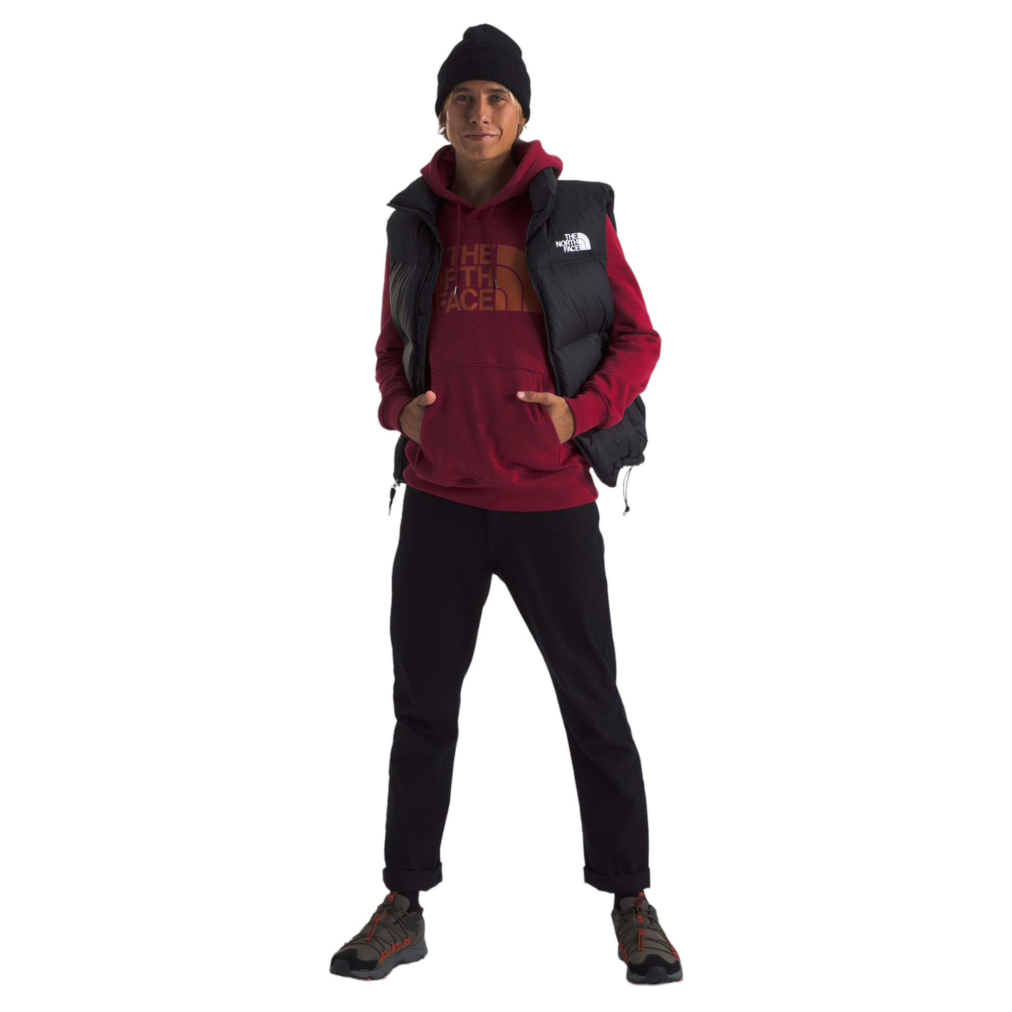 /the-north-face-half-dome-pullover-hoodie-mens-10418848/p?skuId=1842066