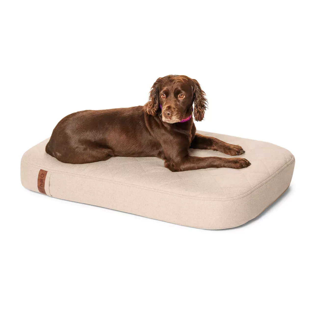NWEB---ORVIS-RECOVERYZONE-LOUNGER-BED-MED-Khaki-M.jpg