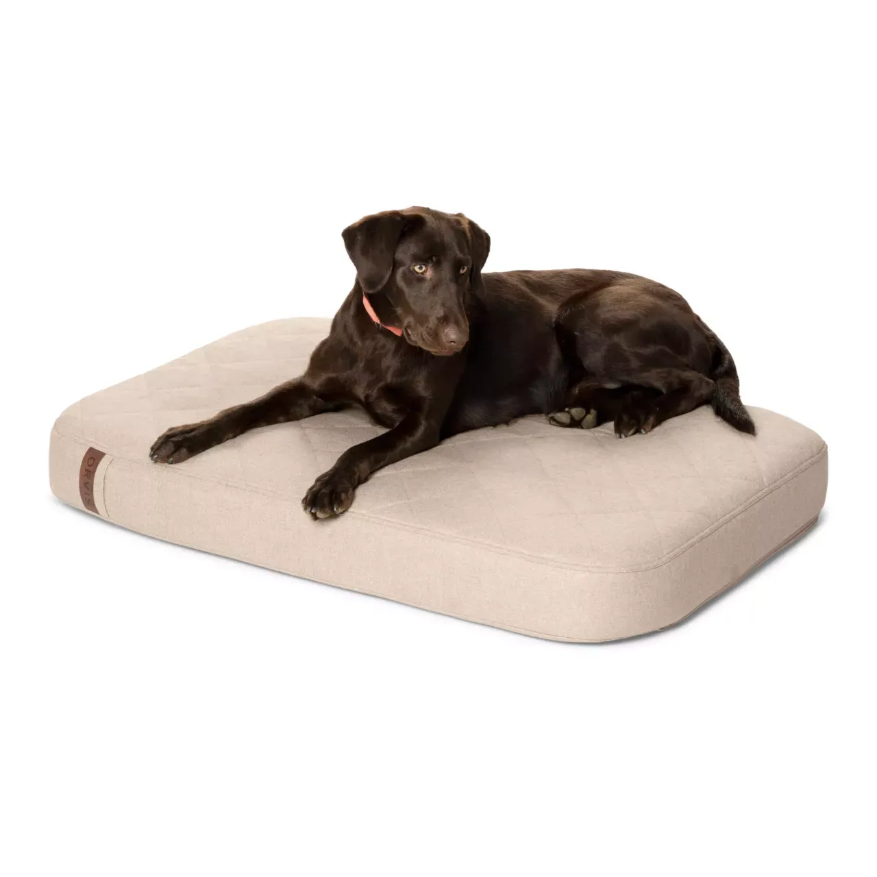 NWEB---ORVIS-RECOVERYZONE-LOUNGER-BED-MED-Khaki-M.jpg