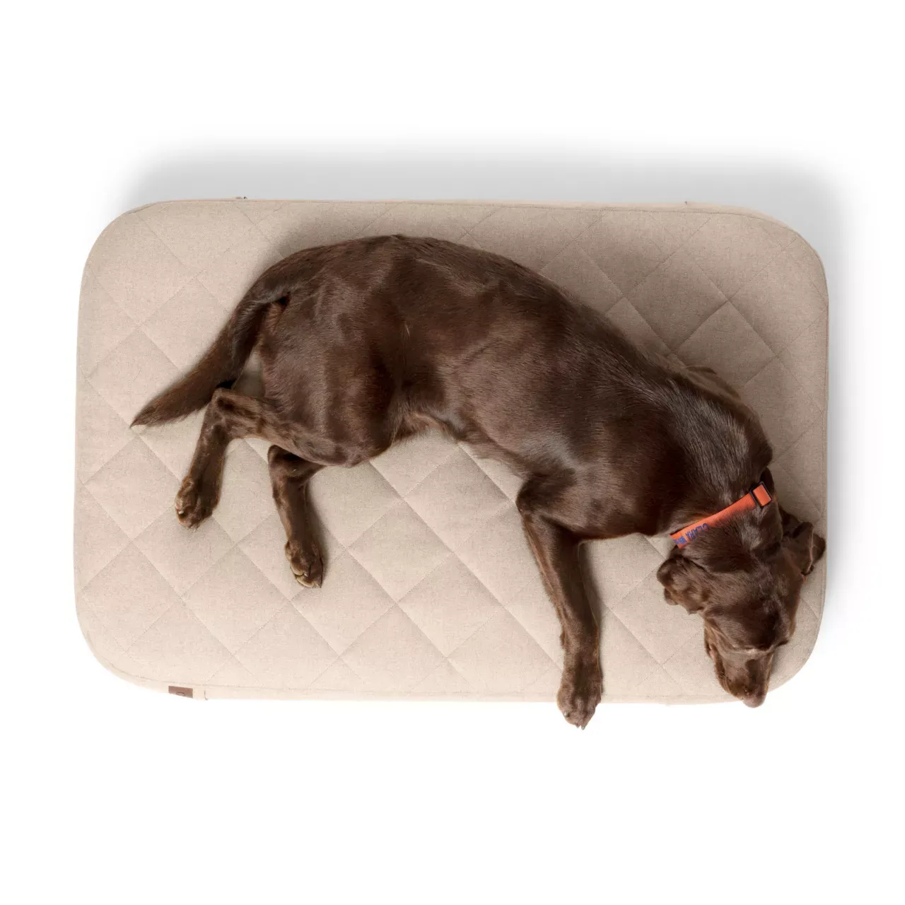 NWEB---ORVIS-RECOVERYZONE-LOUNGER-BED-MED-Khaki-M.jpg