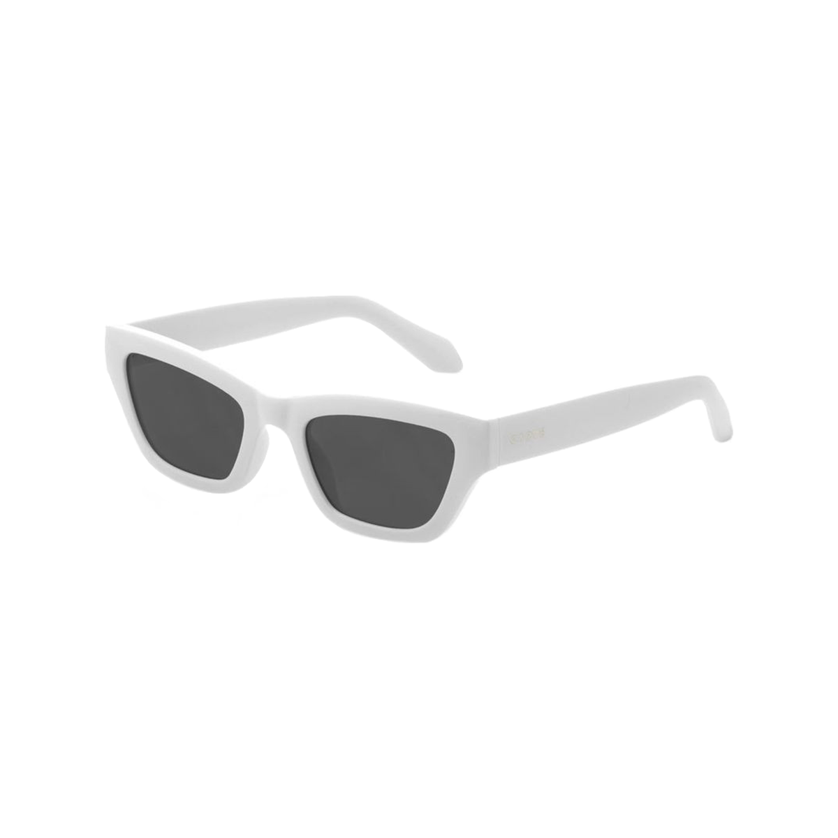 /carve-eyewear-valencia-sunglasses-10601820/p?skuId=3000484