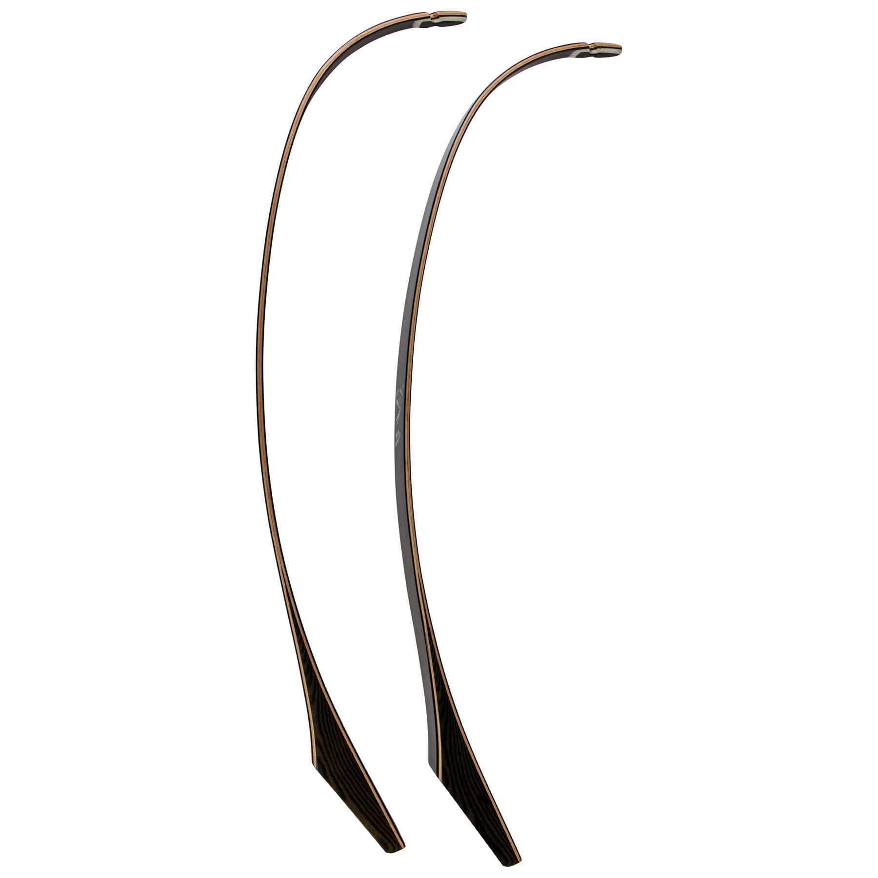 BEARAR-Take-Down--2-limb-Black