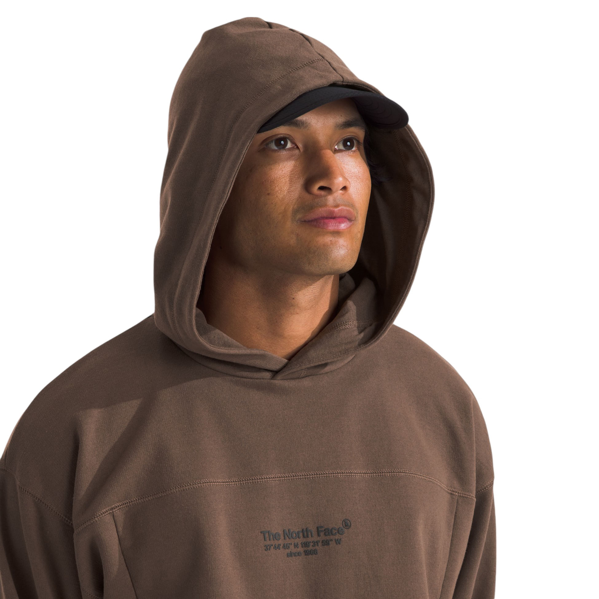 North face hoodie brown best sale