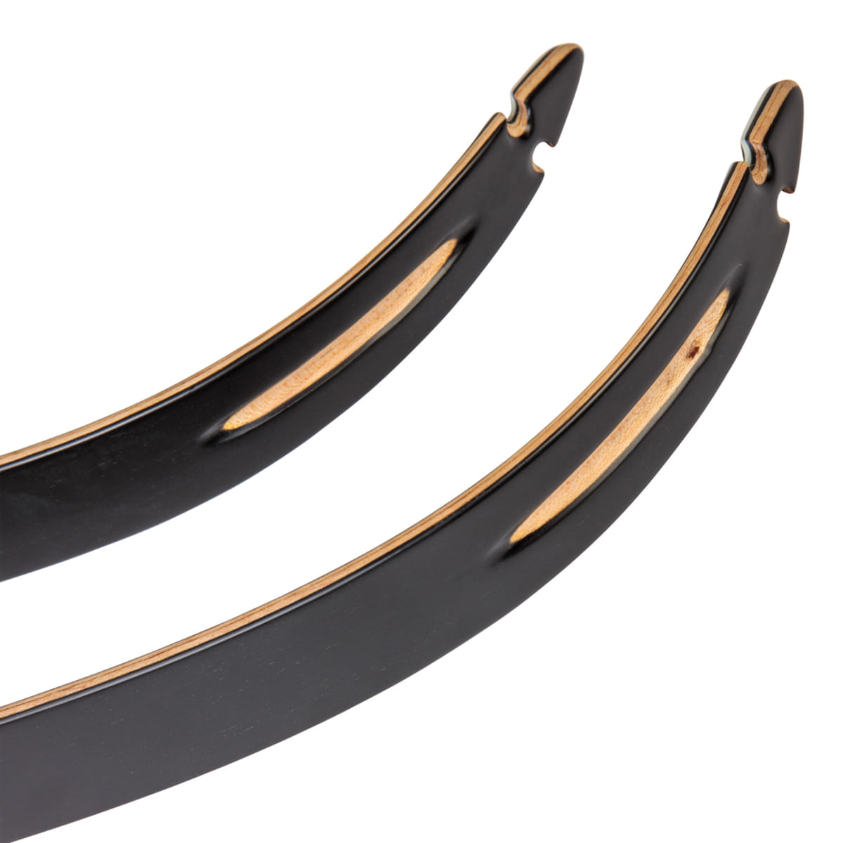 BEARAR-Take-Down--2-limb-Black