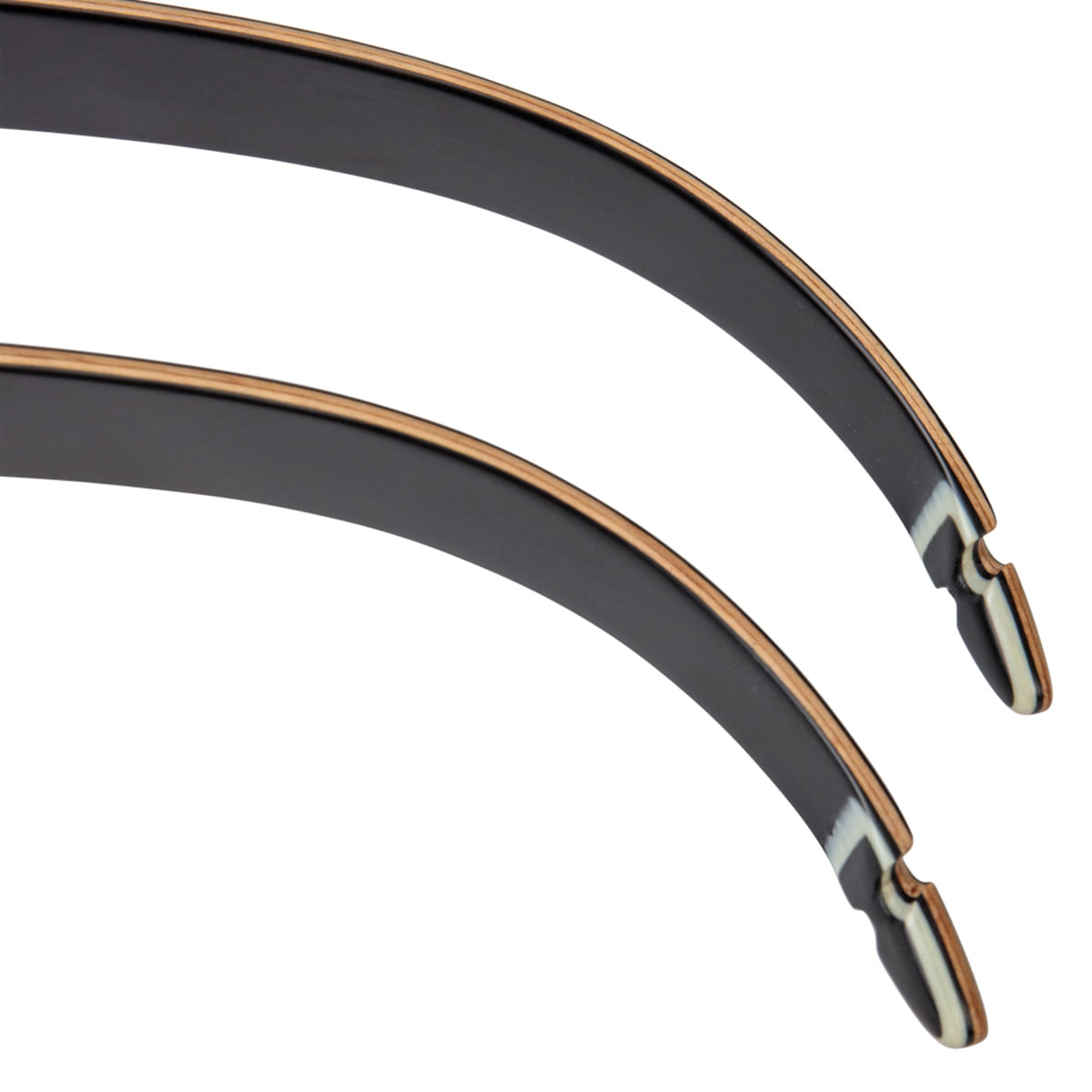 BEARAR-Take-Down--2-limb-Black