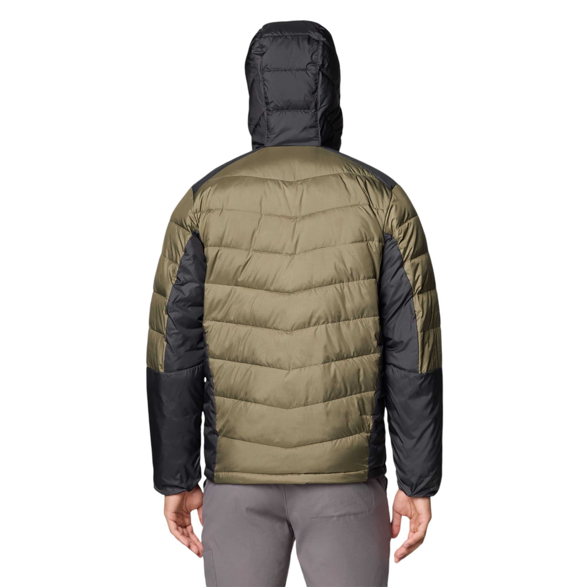 COLUMS-M-S-LABYRINTH-LOOP-II-HOODED-JKT-Stone-Green---Shark