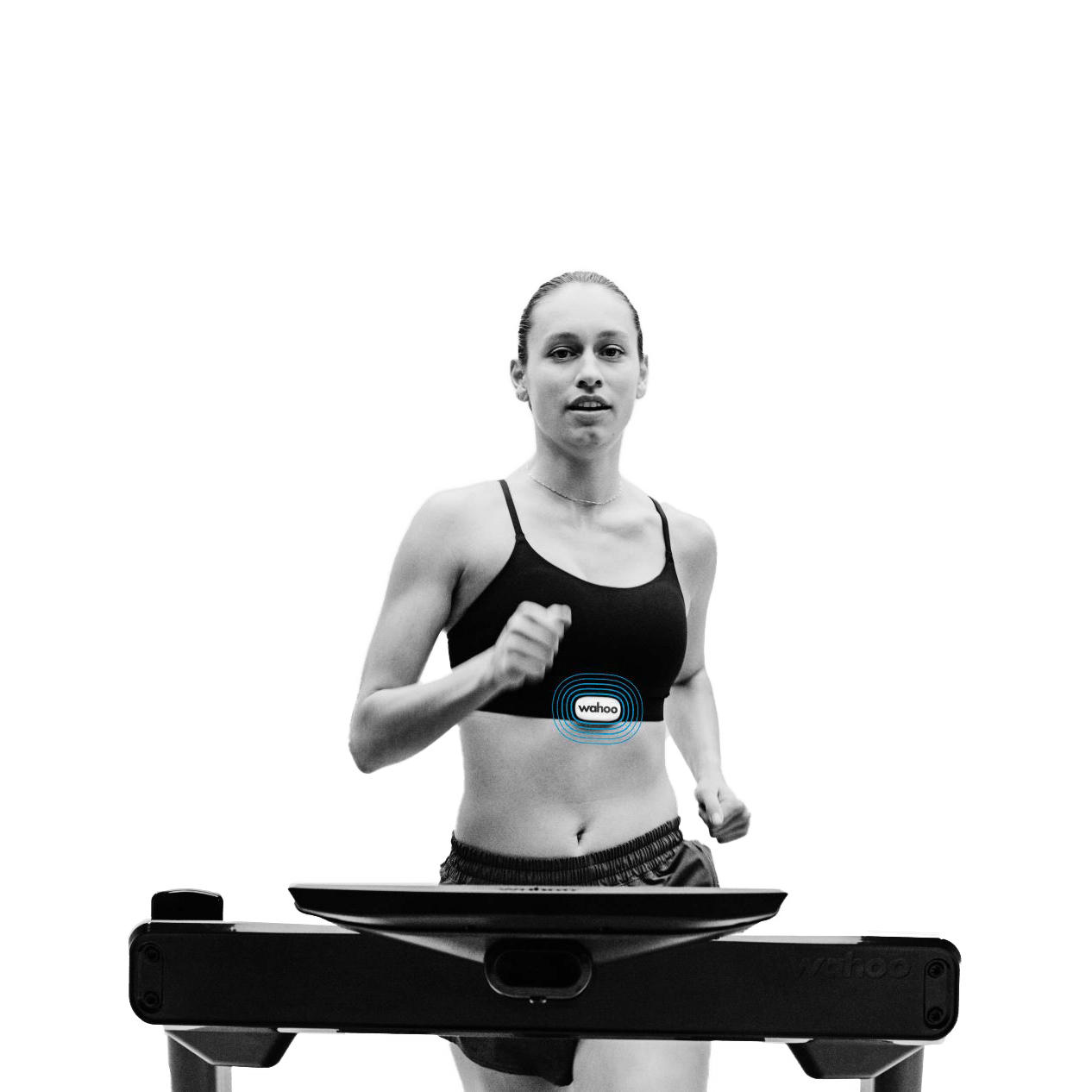 Wahoo Fitness TRACKR Heart Rate Monitor - Als.com