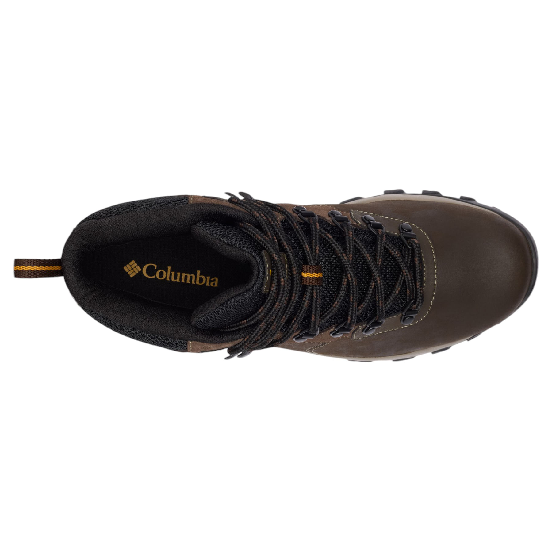 Columbia-Newton-Ridge-Plus-II-Waterproof-Hiking-Boot---Men-s-Cordovan---Squash