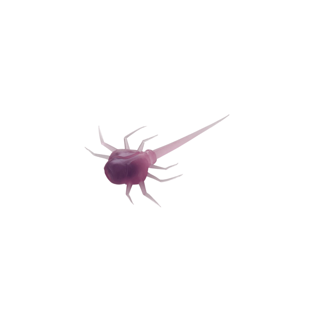 13-Fishing-Coconut-Crab-Soft-Bait--6-Pack--Purple-Rain