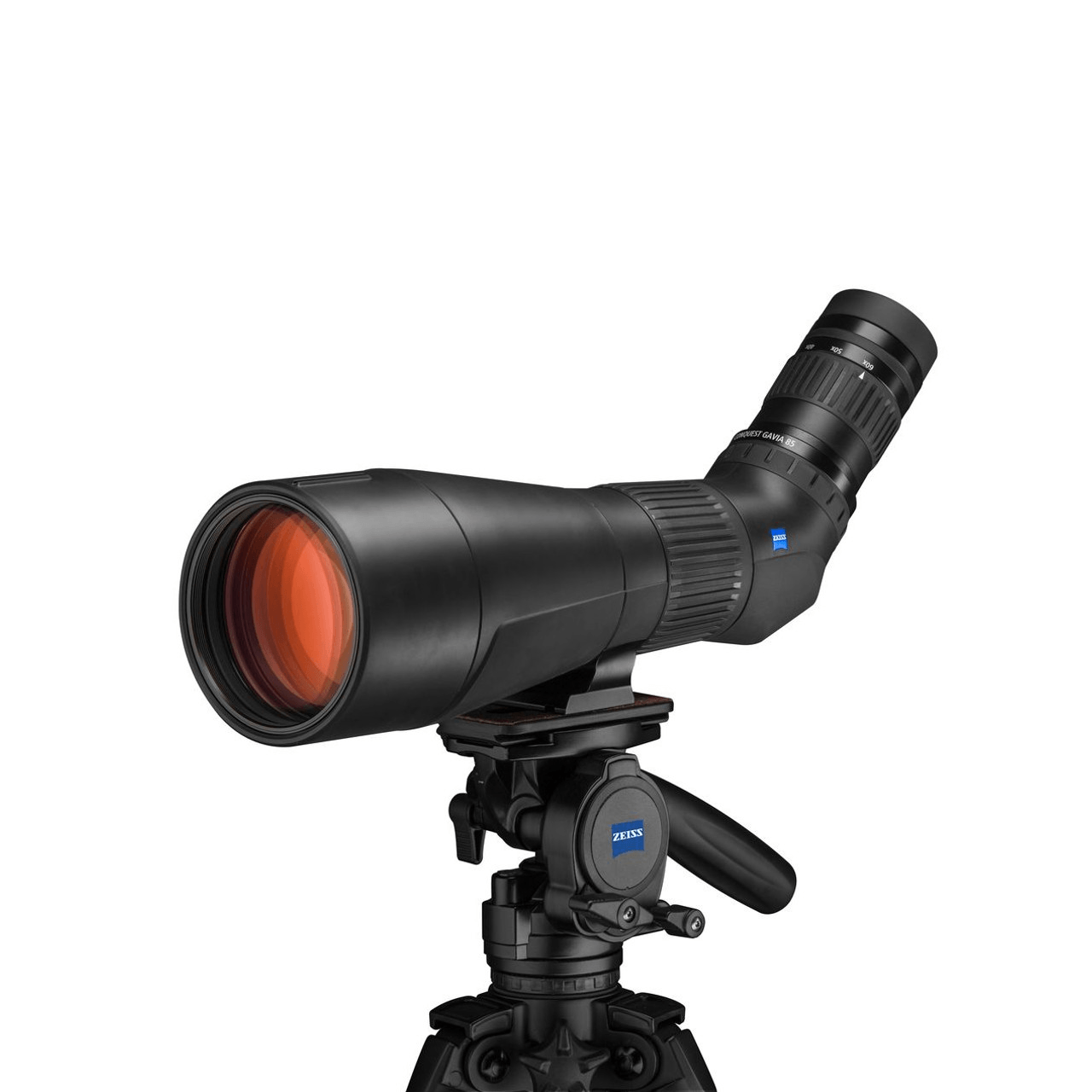 Zeiss-Conquest-Gavia-85-Spotting-Scope-Angled