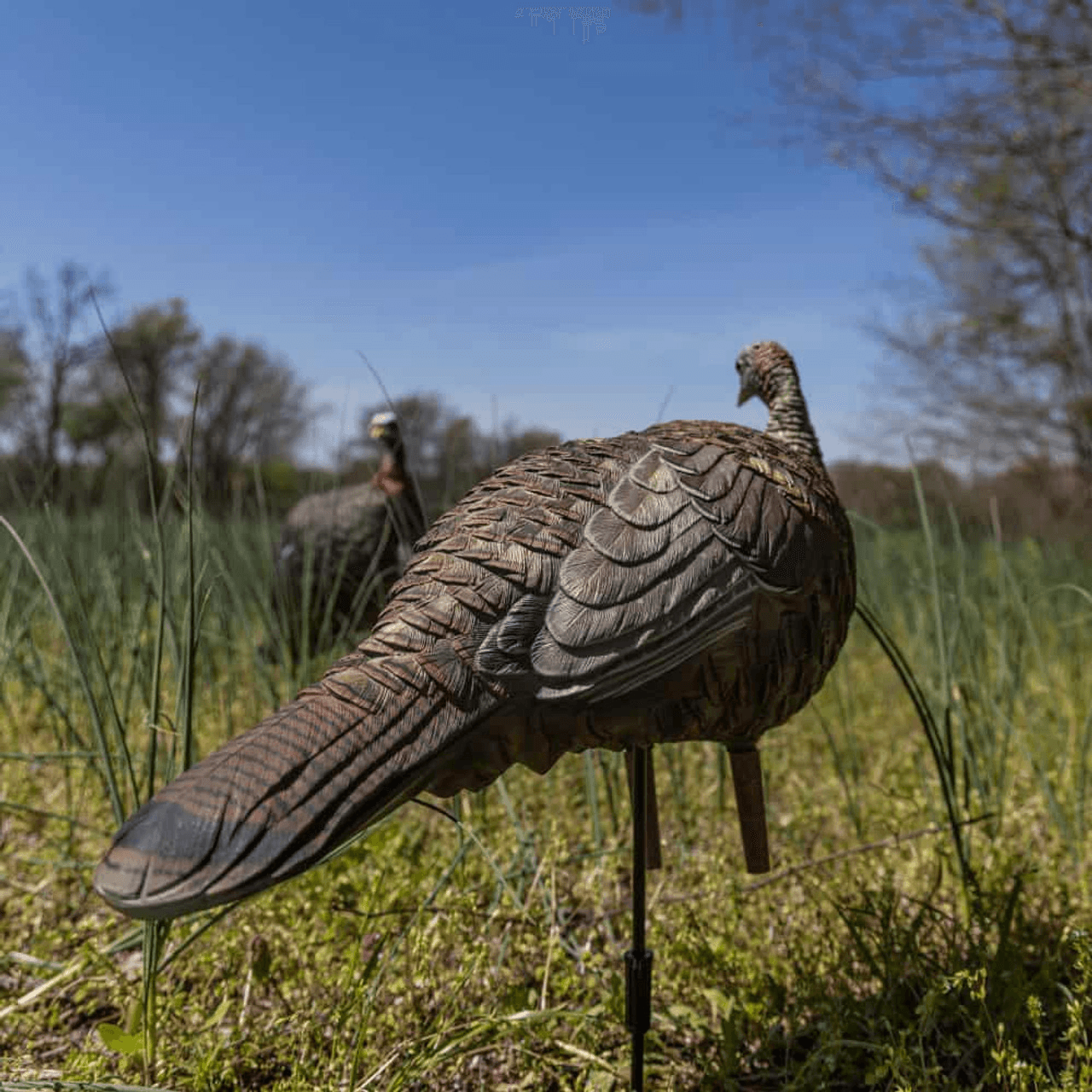 Avian-X-LCD-Breeder-Hen-Turkey-Decoy-Turkey