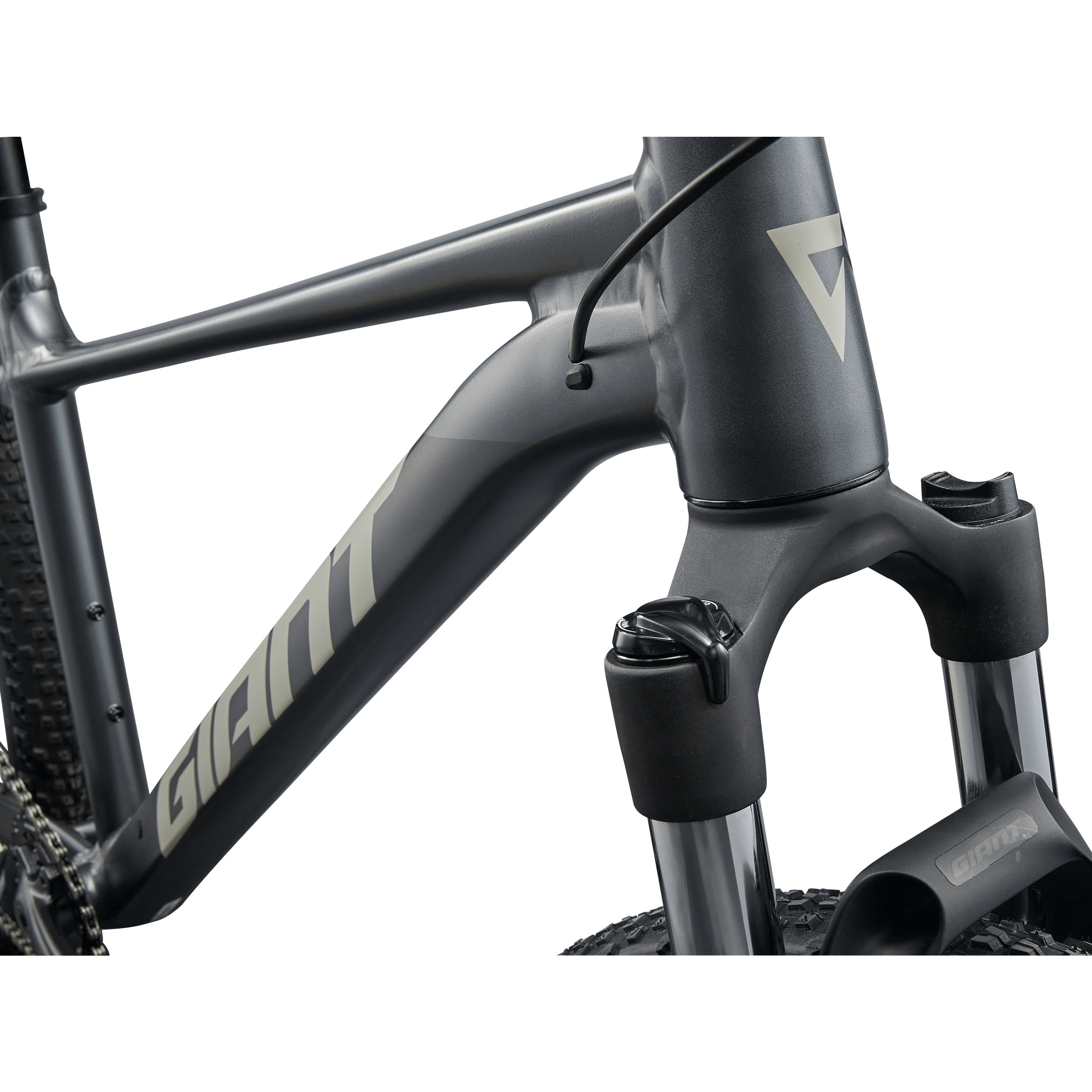 Giant Talon 1 Bike - 2026 - Als.com
