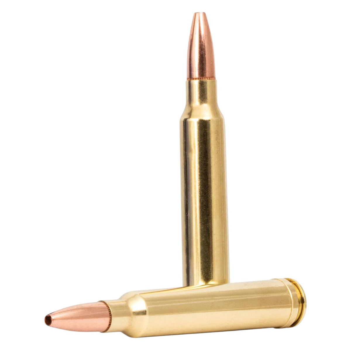 Remington-Core-Lokt-300-Winchester-Magnum-180-Grain-Copper-Hollow-Point-Ammunition-20-Rounds-180GR-COPPER-HOLLOW-POINT