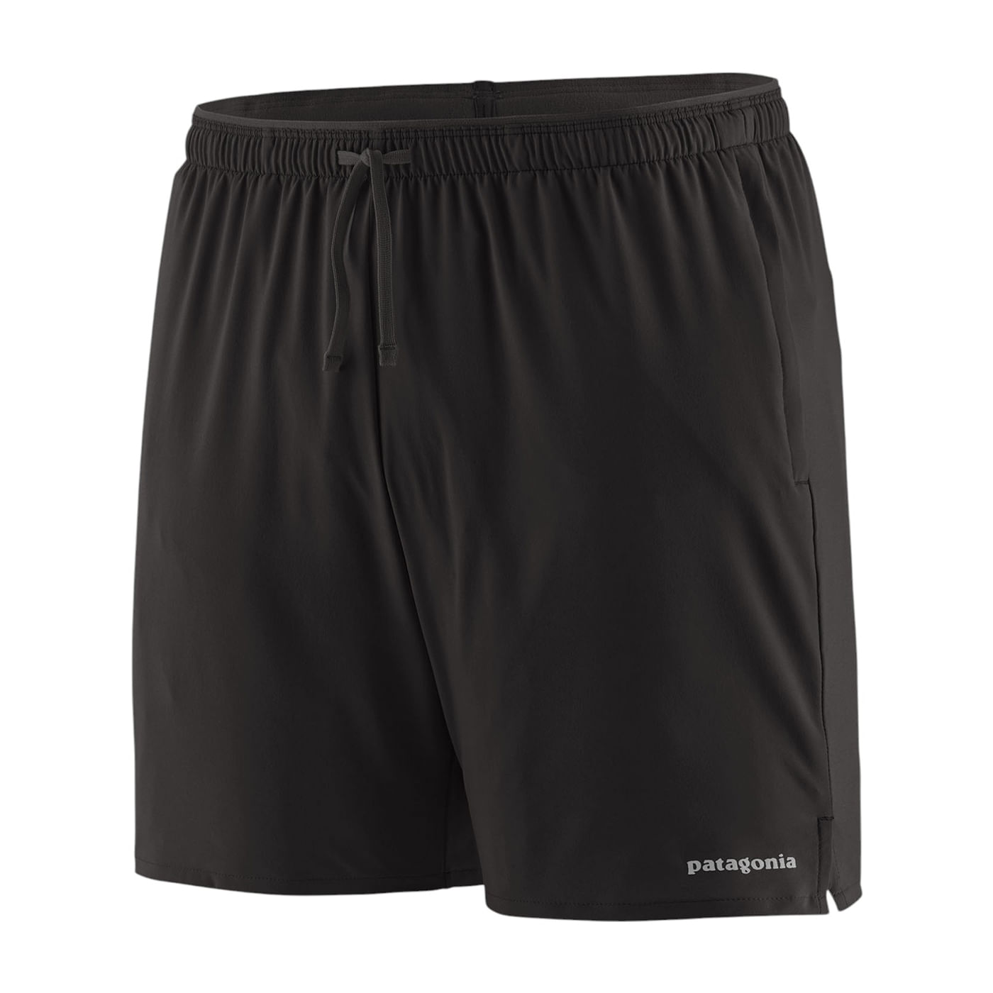 Patagonia Baggies 5