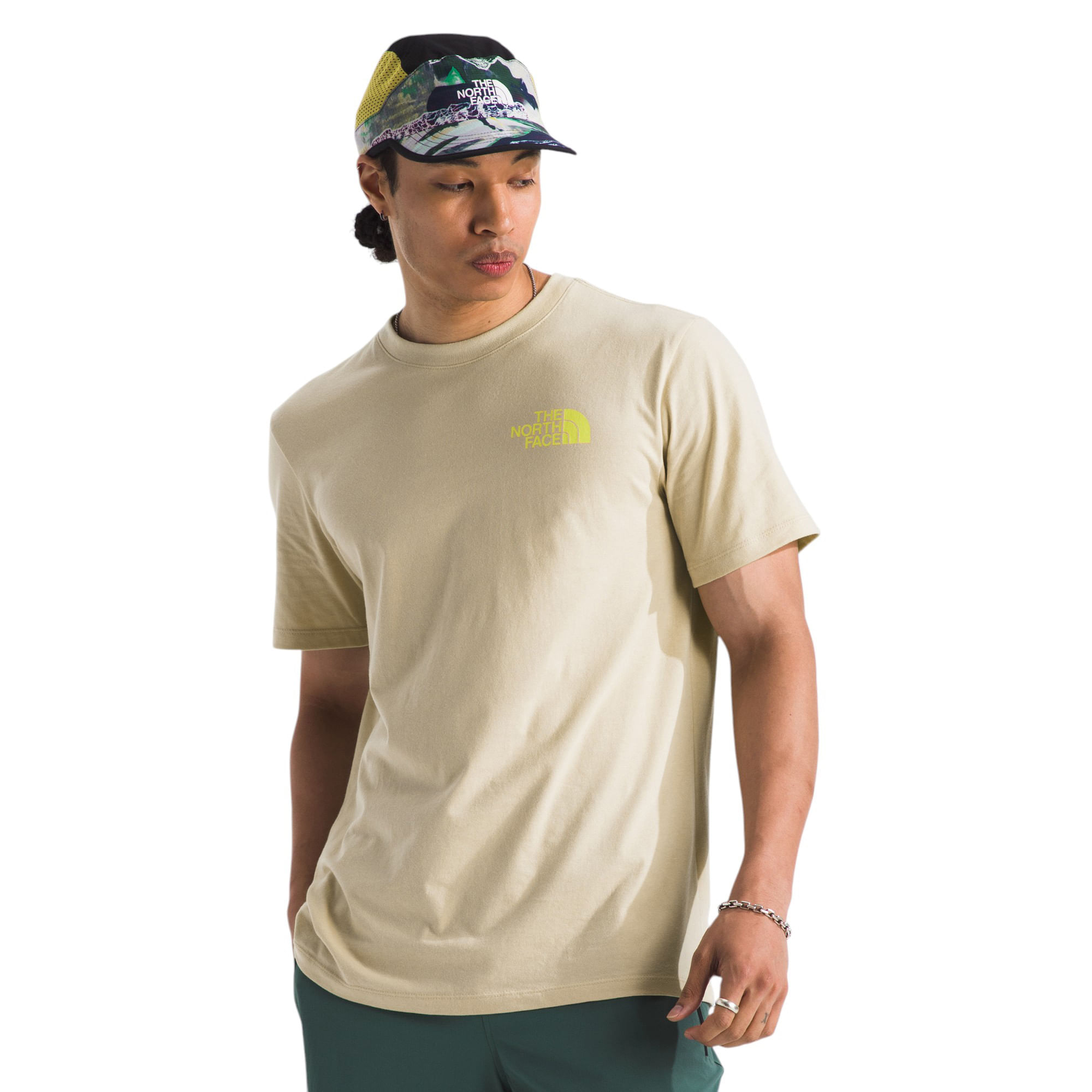 The-North-Face-Short-Sleeve-Public-Lands-Cactus-Graphic-Tee---Men-s-Gravel