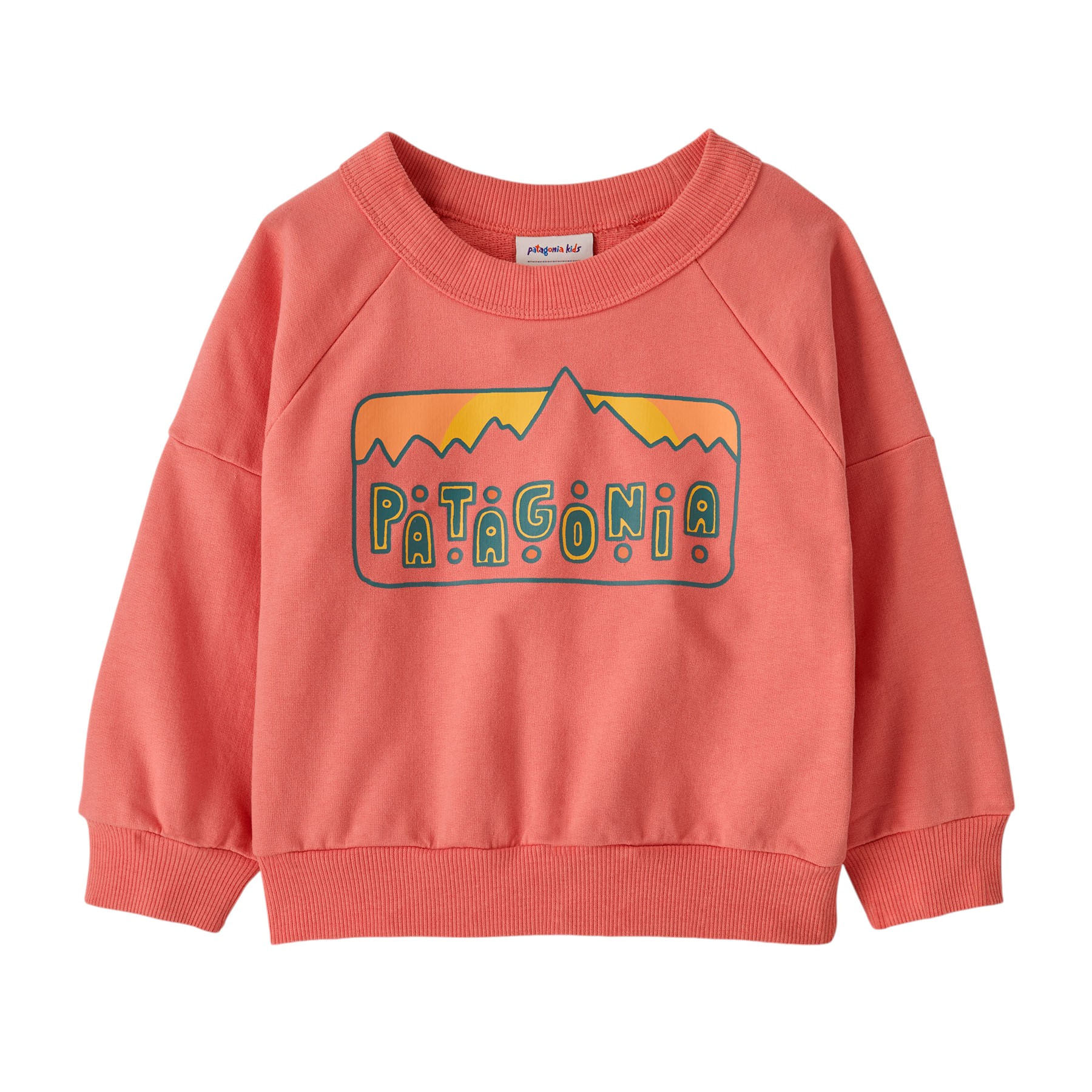 /patagonia-crew-sweatshirt-infant-10507729/p?skuId=1902743
