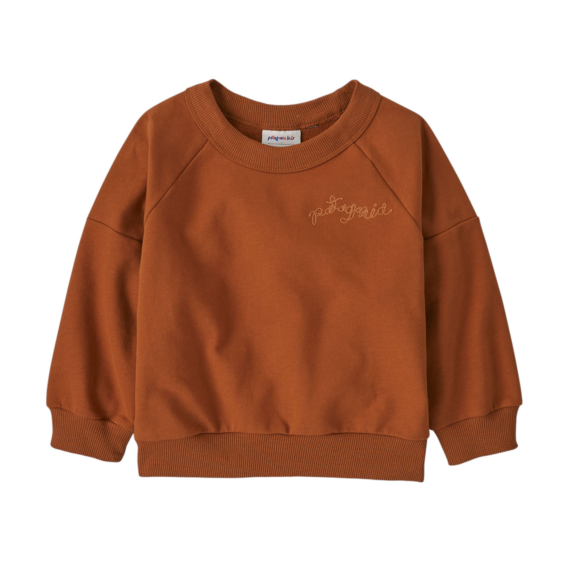/patagonia-crew-sweatshirt-infant-10507729/p?skuId=1902758