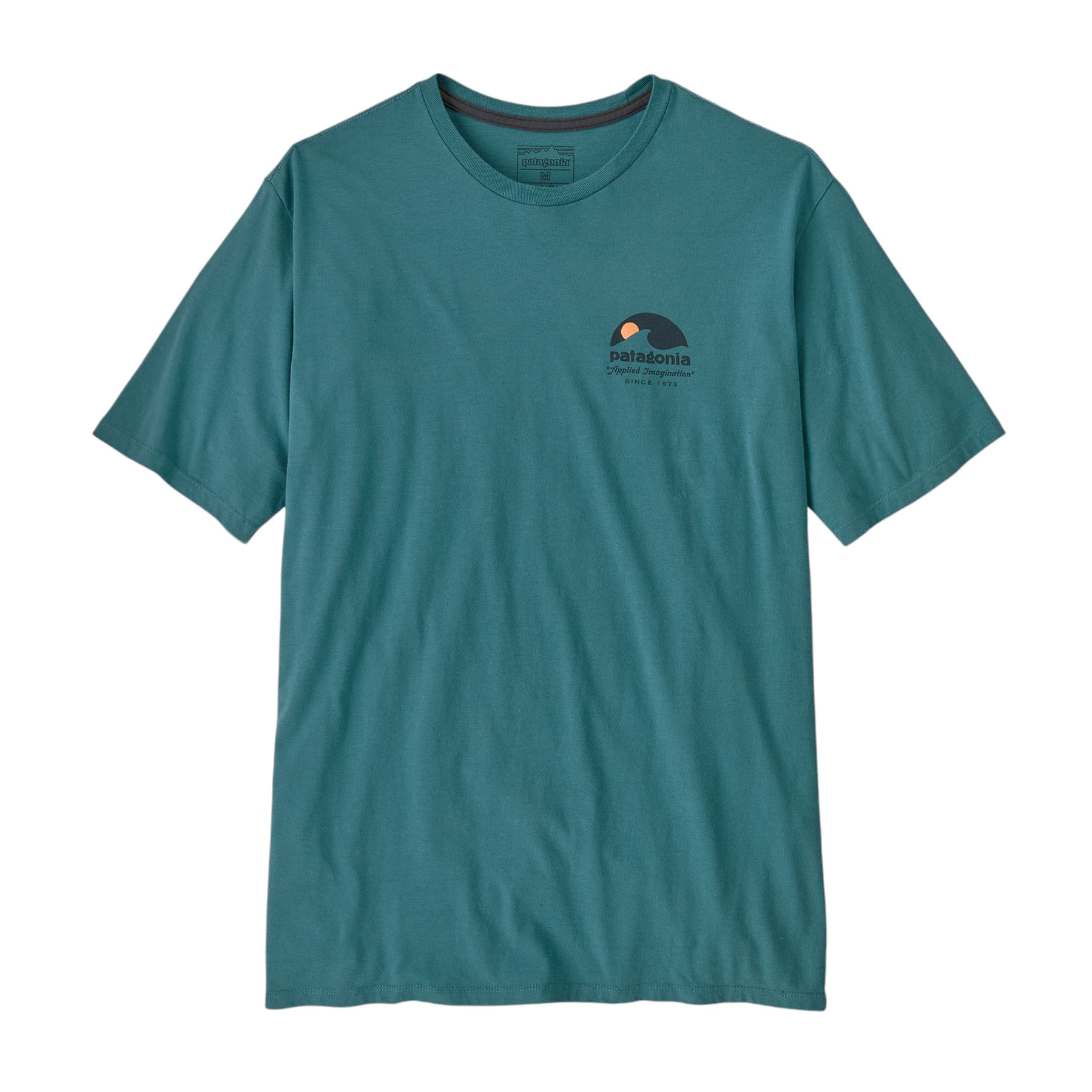 Patagonia Regenerative Organic Certified Cotton Graphic T