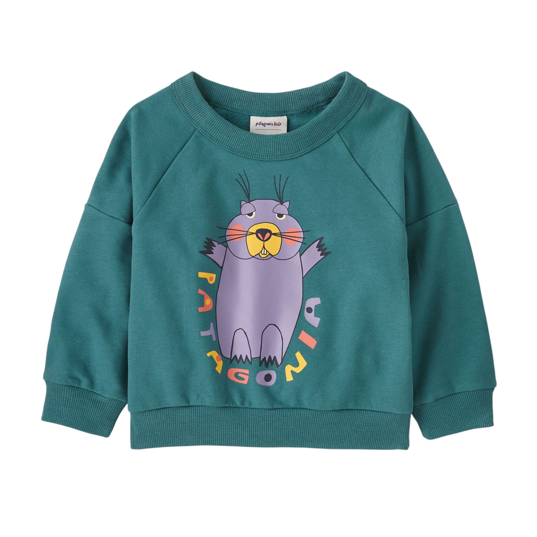 /patagonia-crew-sweatshirt-infant-10507729/p?skuId=1902752