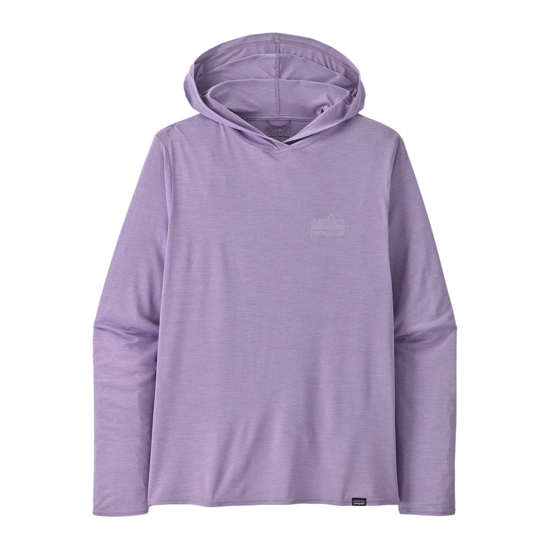 /patagonia-capilene-cool-daily-graphic-hoodie-mens-10410473/p?skuId=1907333