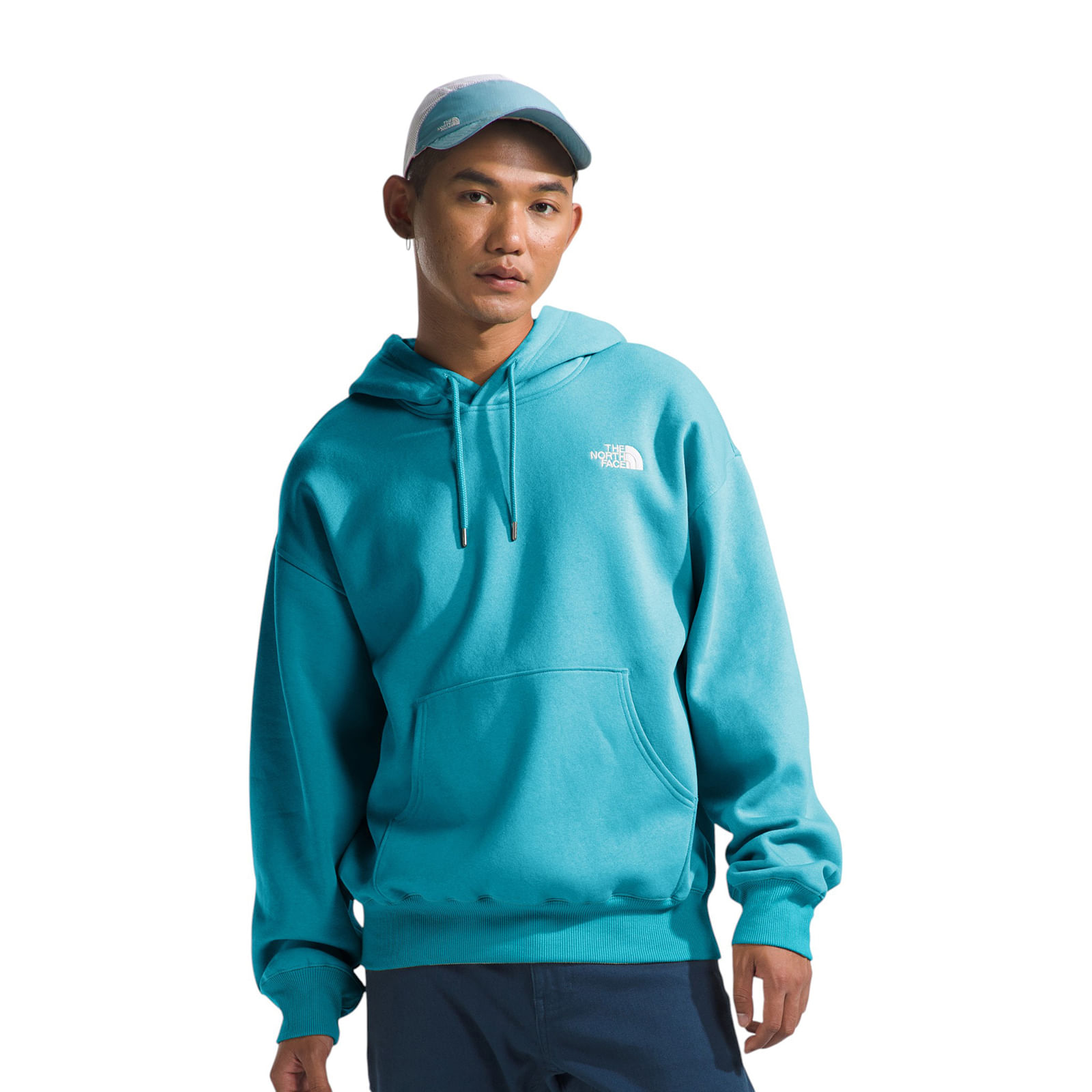 /the-north-face-evolution-vintage-hoodie-mens-10503545/p?skuId=3057297