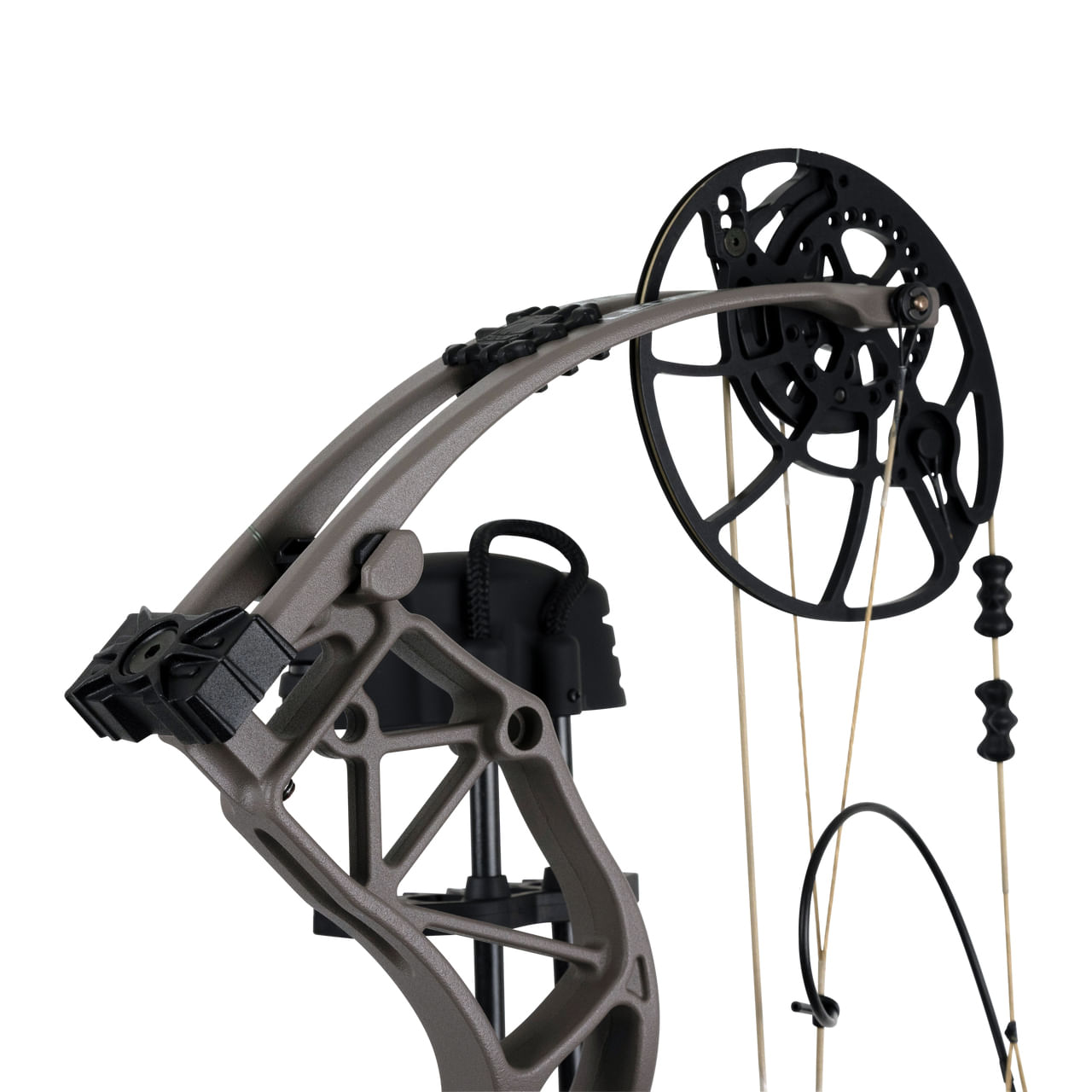 Bear Legend Series| Broadhead Barn