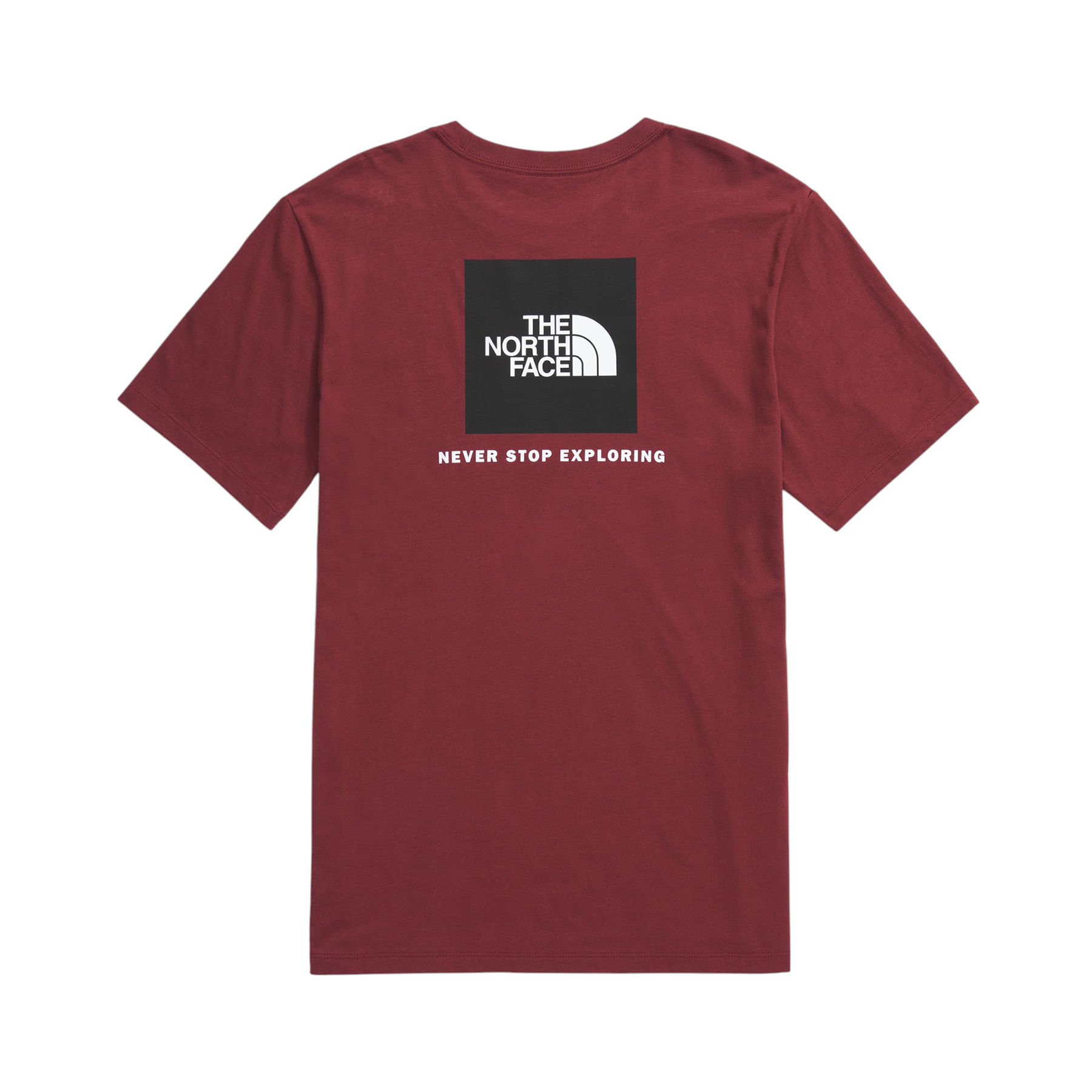 The North Face Evolution Box NSE Short-Sleeve Tee - Men's