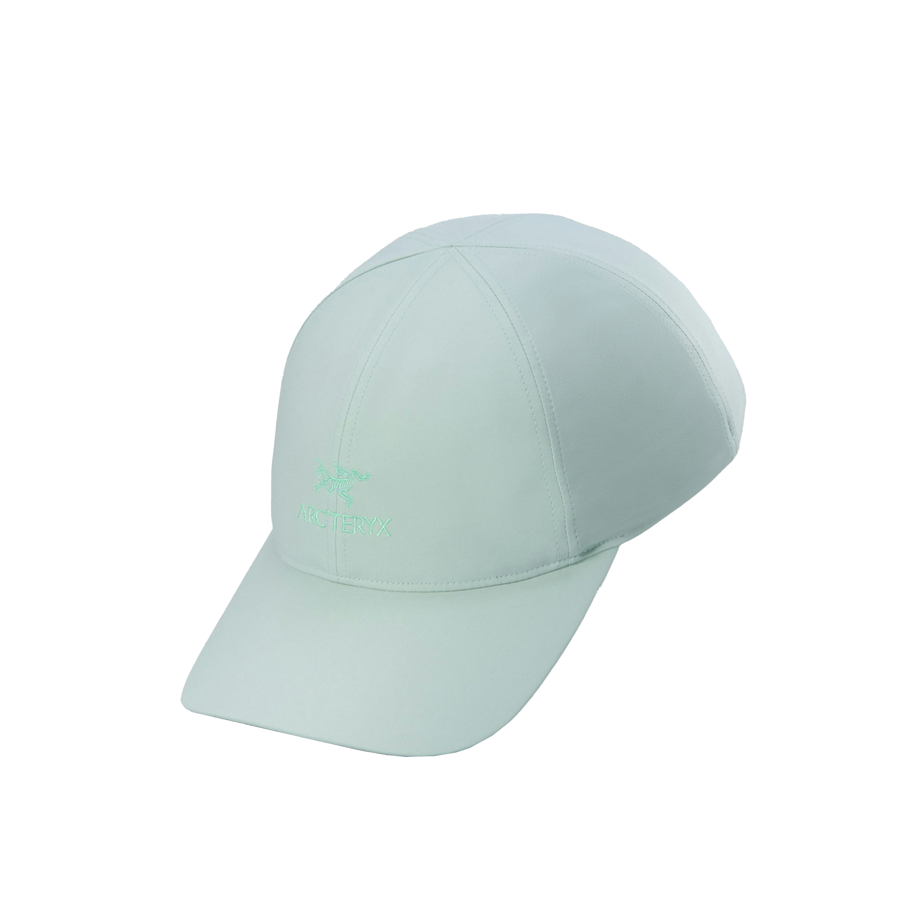 /arcteryx-bird-word-cap-10602840/p?skuId=3004314