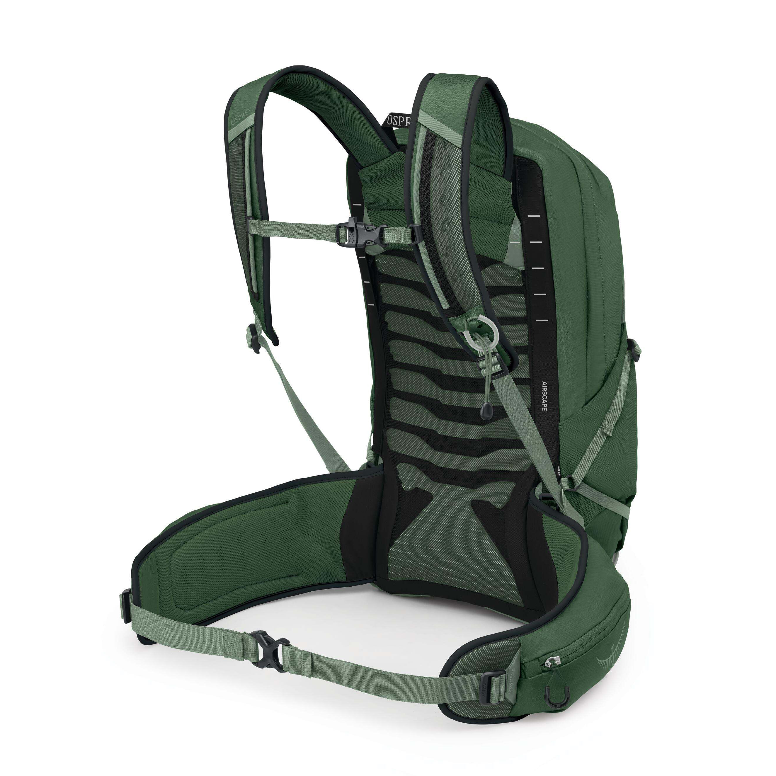 Osprey-Talon-22-Daypack---Men-s-Green-Canopy-Pine-Leaf