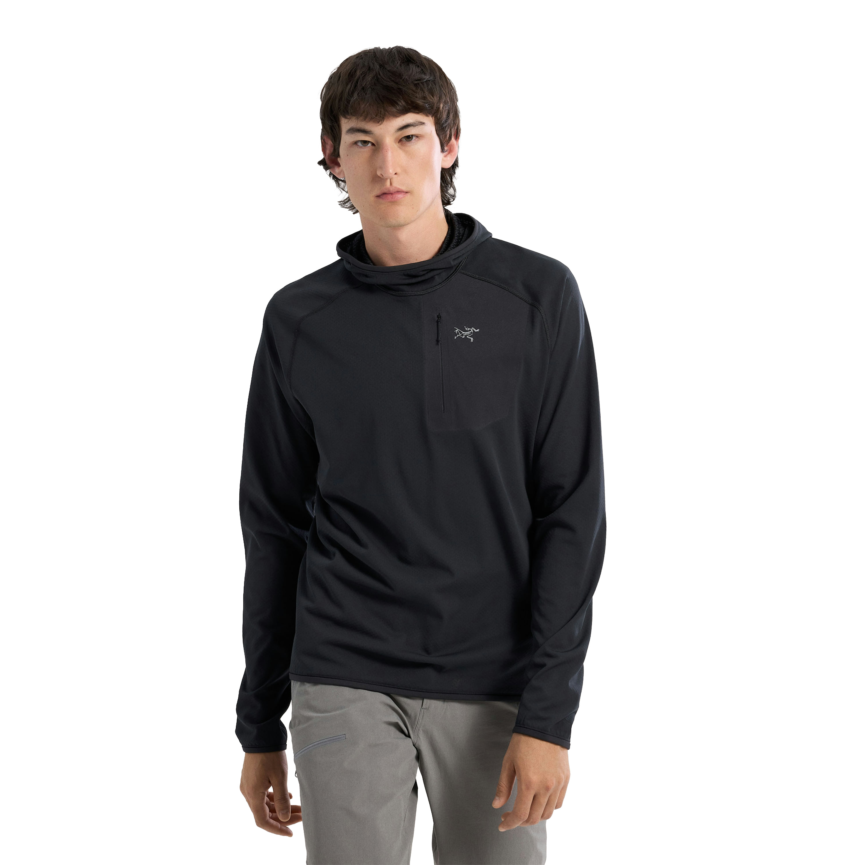 /arcteryx-delta-pullover-hoodie-mens-10609100/p?skuId=3061153