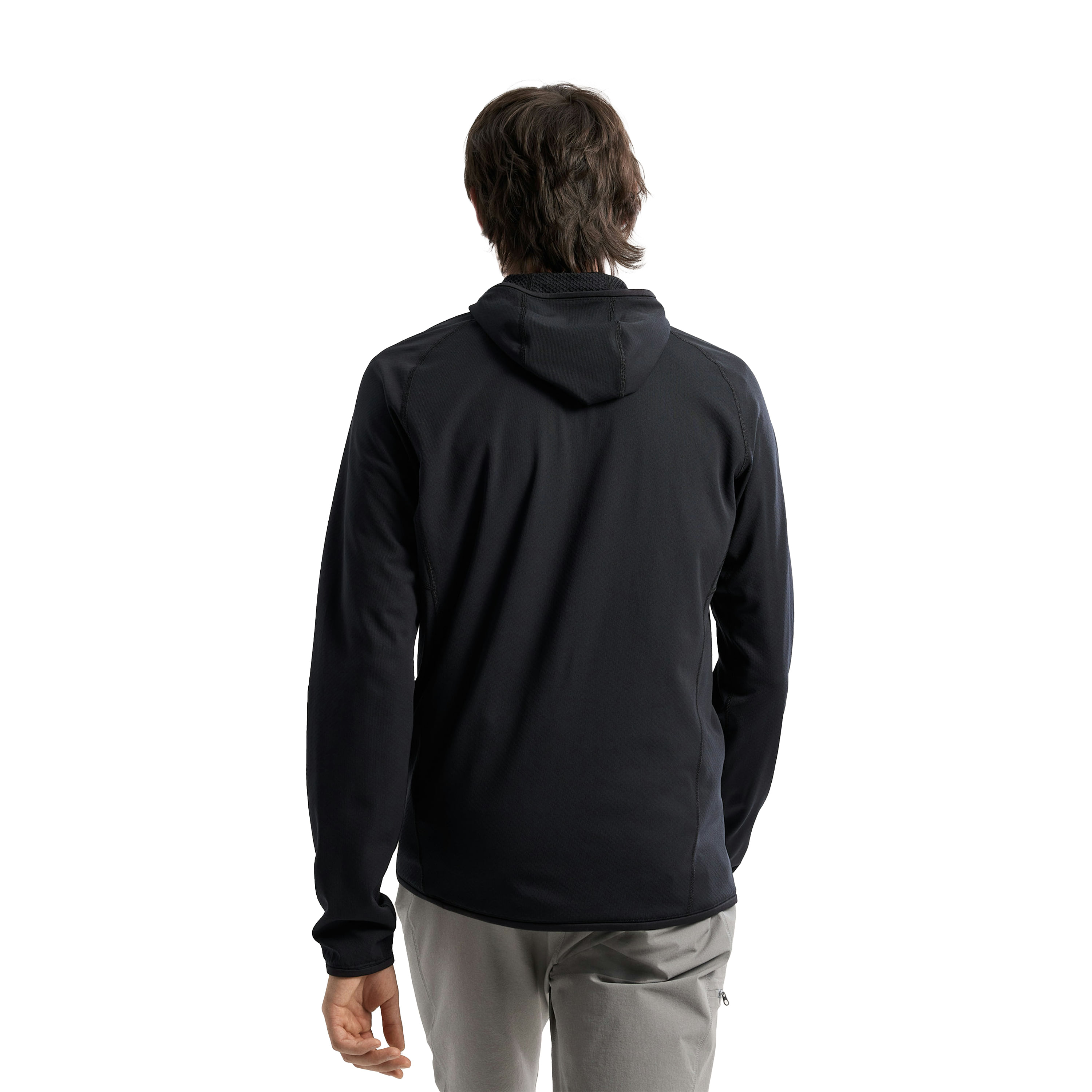 Arc'teryx Delta Pullover Hoodie - Men's - Als.com