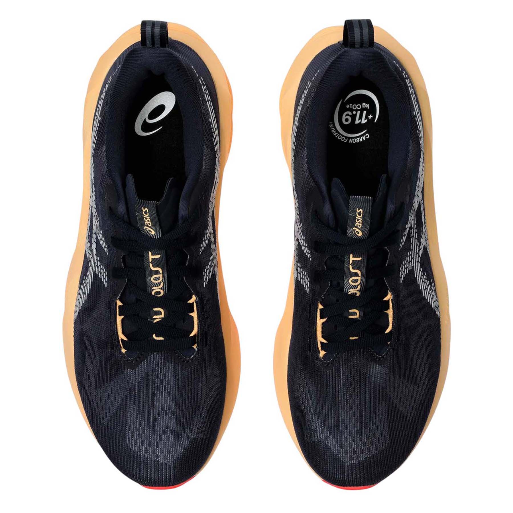 ASICS NOVABLAST 5 Running Shoe - Men's - Als.com